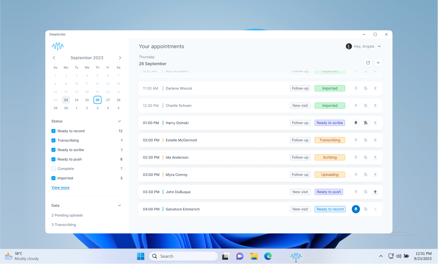 Windows application, schedule view